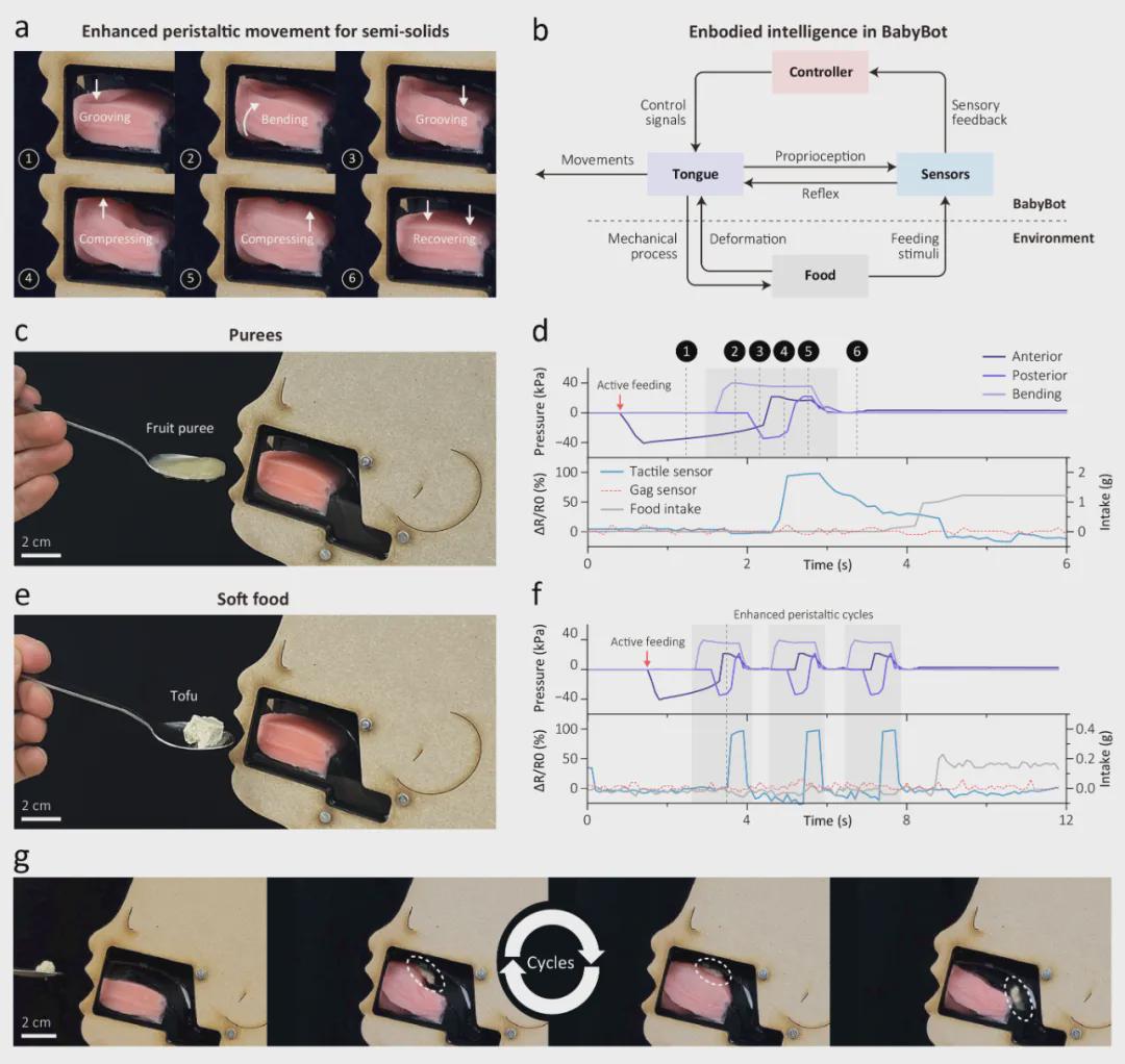 重大突破！会吸奶、呕吐、成长的婴儿机器人，正在改变儿科医学 | npj Robotics发表(图5)