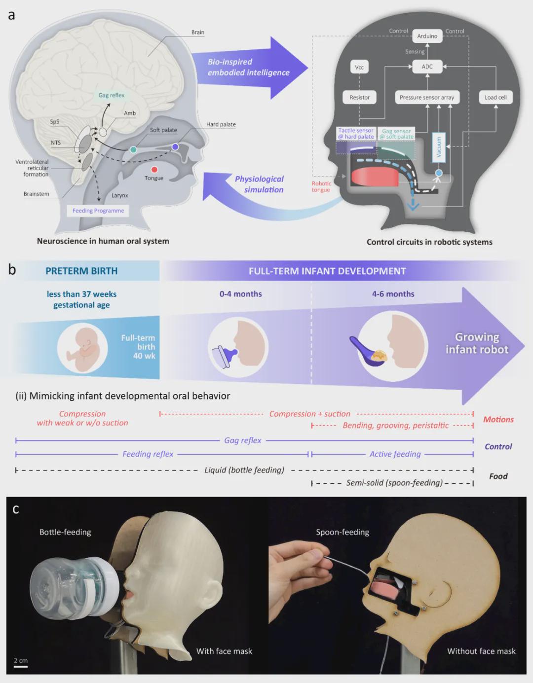 重大突破！会吸奶、呕吐、成长的婴儿机器人，正在改变儿科医学 | npj Robotics发表(图3)