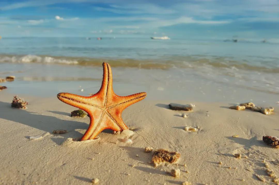 《Science》发表！自振肢体技术赋能软体机器人实现生物级步态(图1)