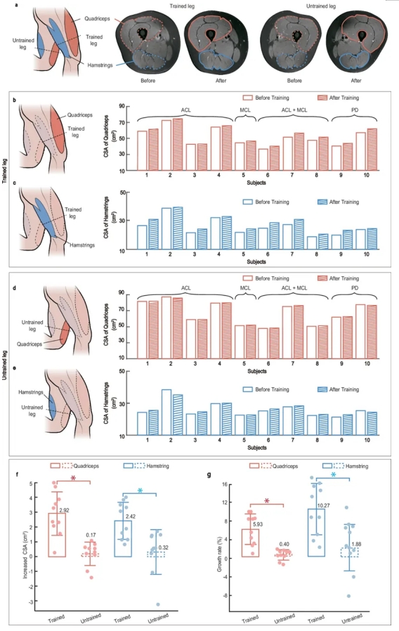  北航重磅发布！颠覆传统的「膝关节康复机器人」诞生，在家不充电就能用！(图8)