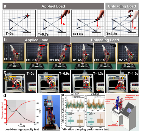  摆脱关节电机依赖！长春工业大学研究团队提出新型仿生腿式机器人，实现无电机膝关节切换！(图3)
