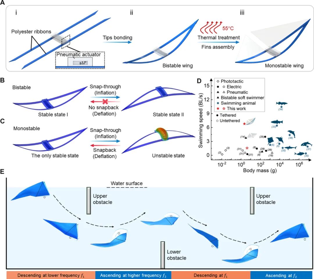 Science Advances发表！北卡罗来纳州立大学×弗吉尼亚大学推出单稳态扑翼软体游泳机器人，实现高速多模态水面水下机动！(图4)