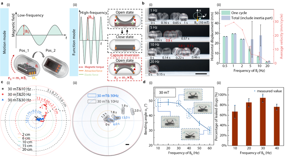 多模态响应与功能集成！华中科技大学微型磁控胶囊机器人登上《Nature Communications》！(图4)