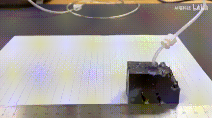 AI开始创造生物了？仅用 26 秒设计出可行走的机器人！美国西北大学出品(图3)