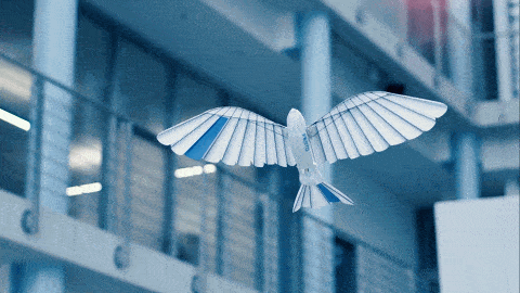 重大发现！仿生扑翼机破解飞行之谜：翅膀折叠和倾斜动作大大提升空气动力学效率！(图5)