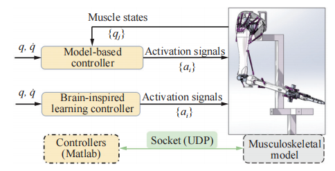 中科院乔红院士团队最新研究 | 类脑智能机器人：理论分析与系统应用(图4)