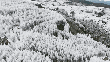 日本网友嘲讽我国除冰机器人，中国网友：夏虫不可以语冰(图4)