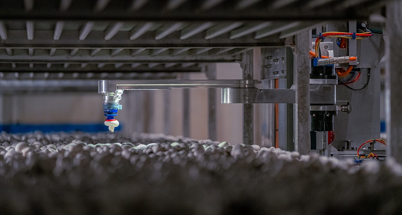 加拿大 4AG Robotics 筹集 2900 万美元 B 轮融资,利用自主机器人彻底改变蘑菇采摘