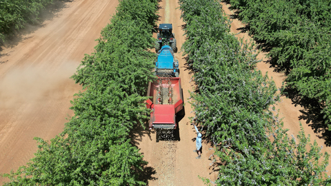 Topcon Agriculture 和 Bonsai Robotics 合作彻底改变永久性作物的自动化