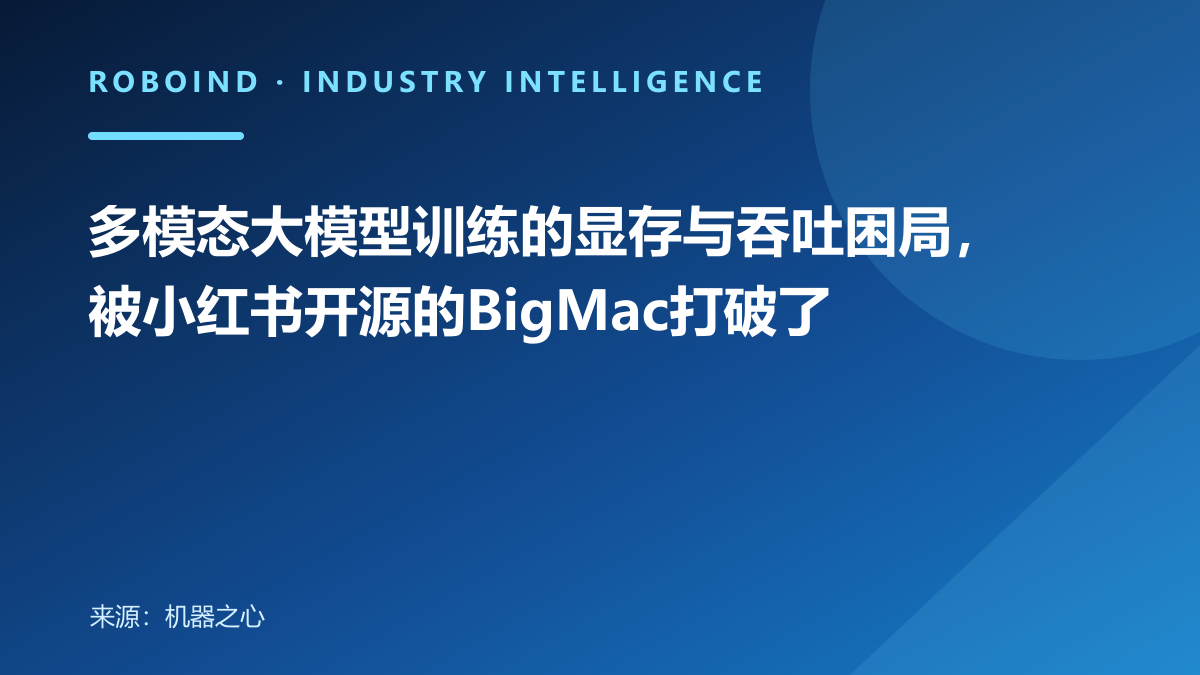 多模态大模型训练的显存与吞吐困局，被小红书开源的BigMac打破了