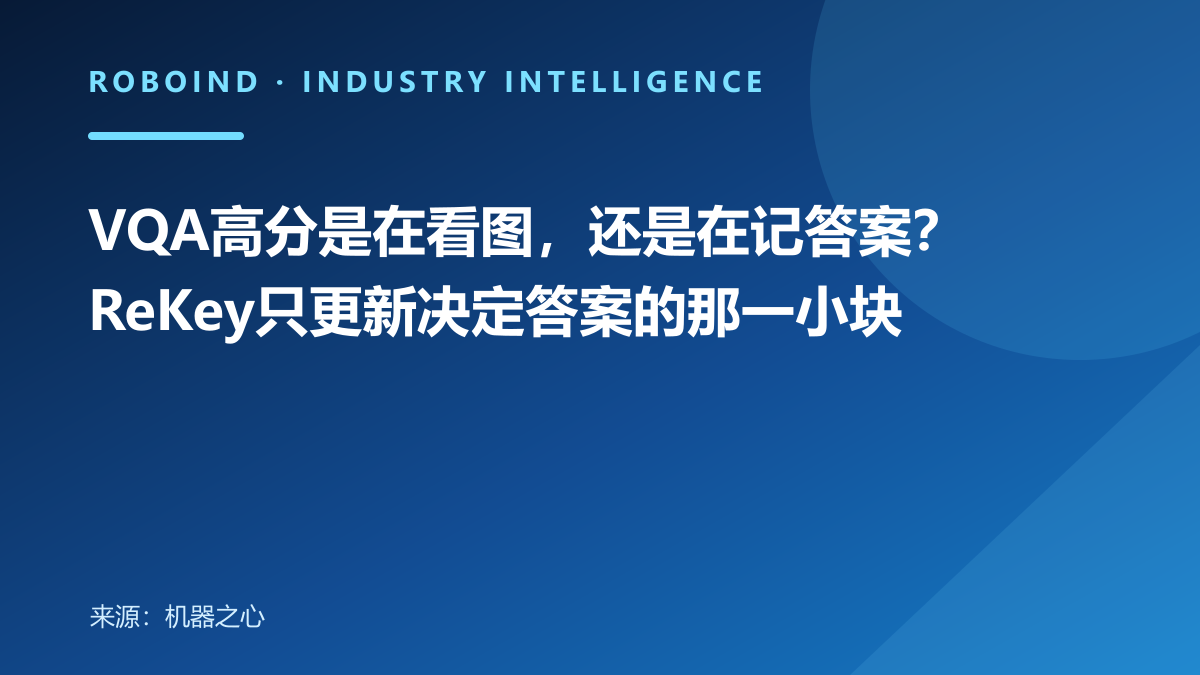 VQA高分是在看图，还是在记答案？ReKey只更新决定答案的那一小块
