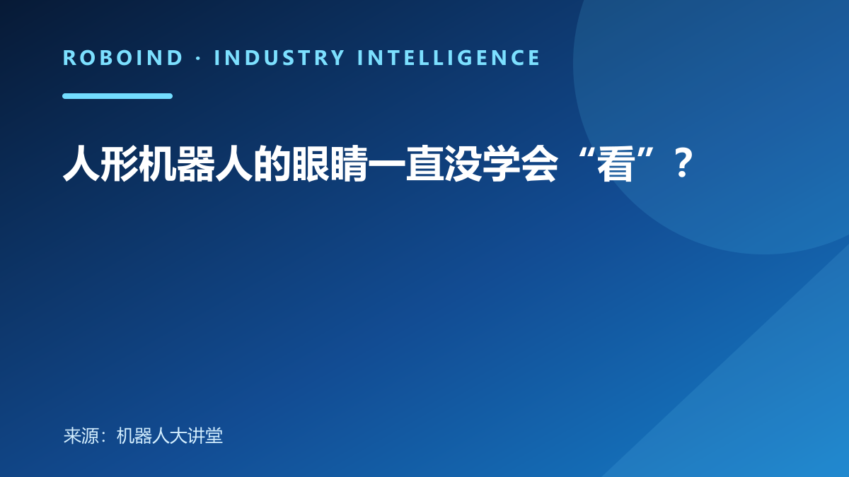 人形机器人的眼睛一直没学会“看”？