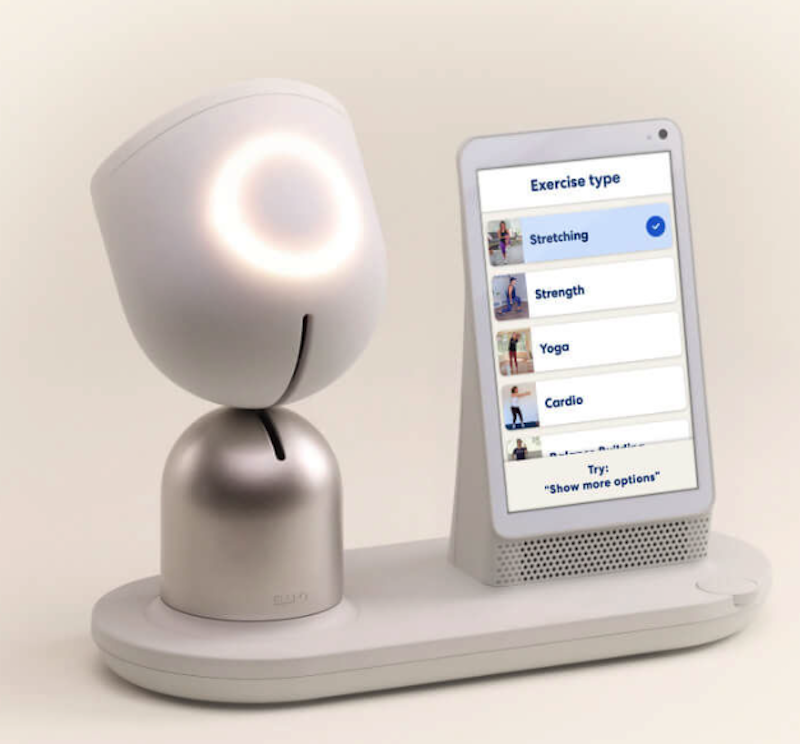 纽约州延长与Intuition Robotics的AI陪伴机器人合作计划