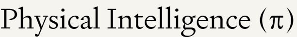 Physical Intelligence