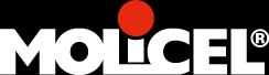 E-One Moli Energy Corp.官网介绍图片