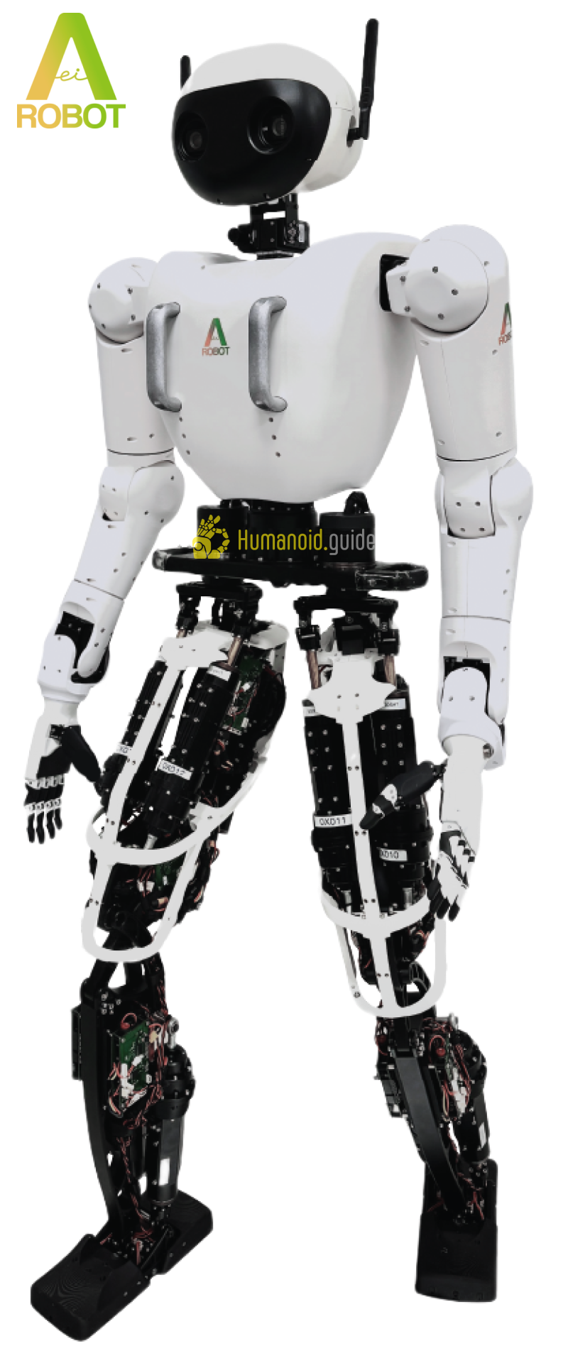 AEI Robot Alice | Humanoid Robot