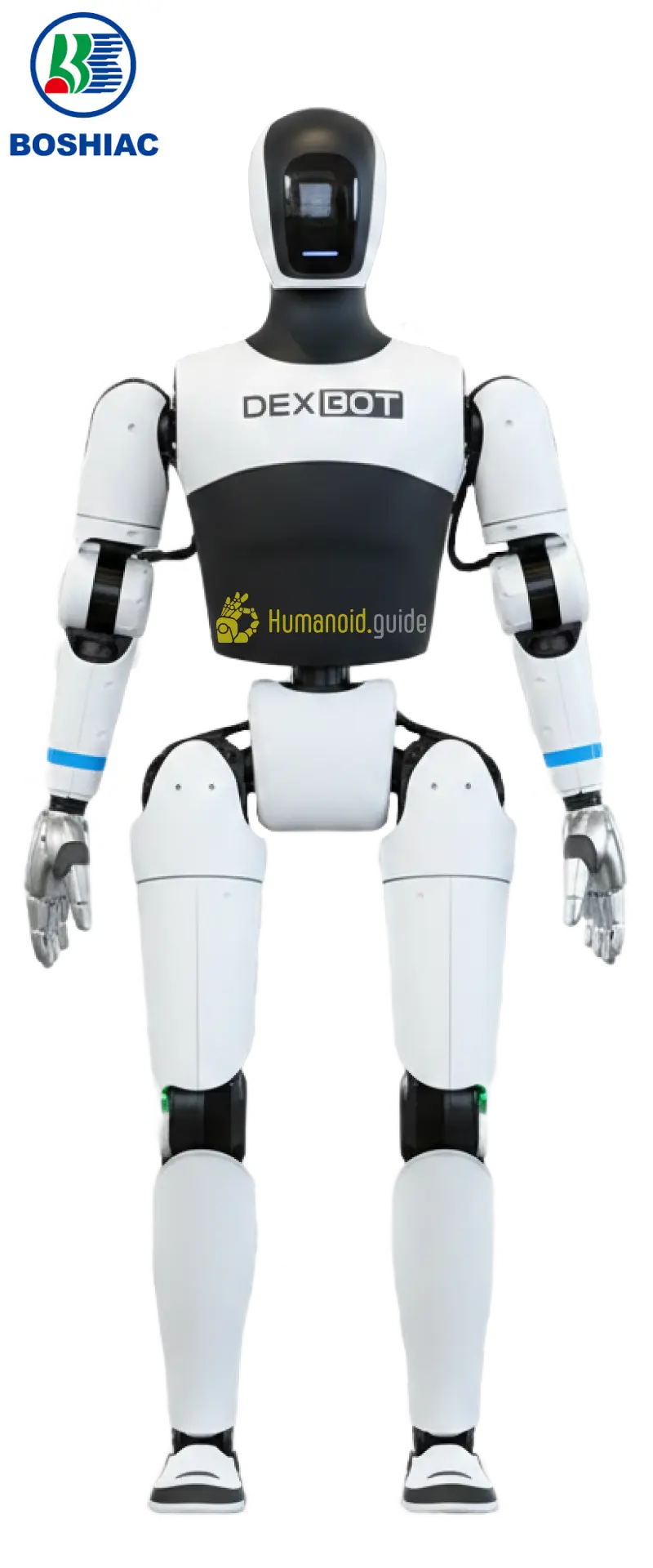 BOSHIAC (Harbin, China) DexBot | Humanoid Robot