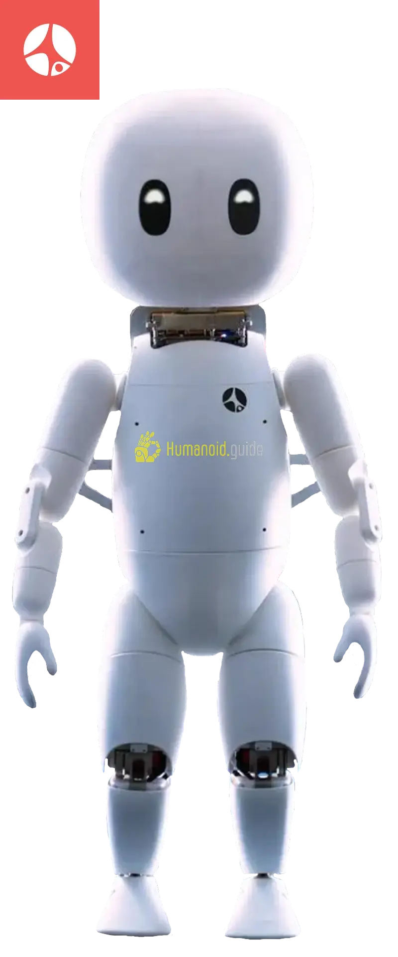 Cartwheel Robotics Yogi | Humanoid Robot