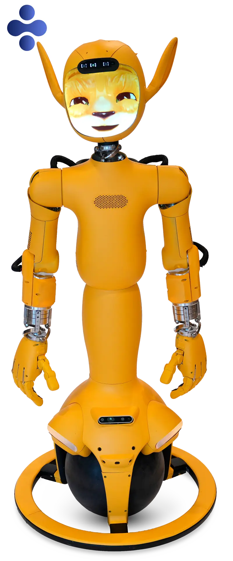 Enchanted Tools Mirokaï | Humanoid Robot