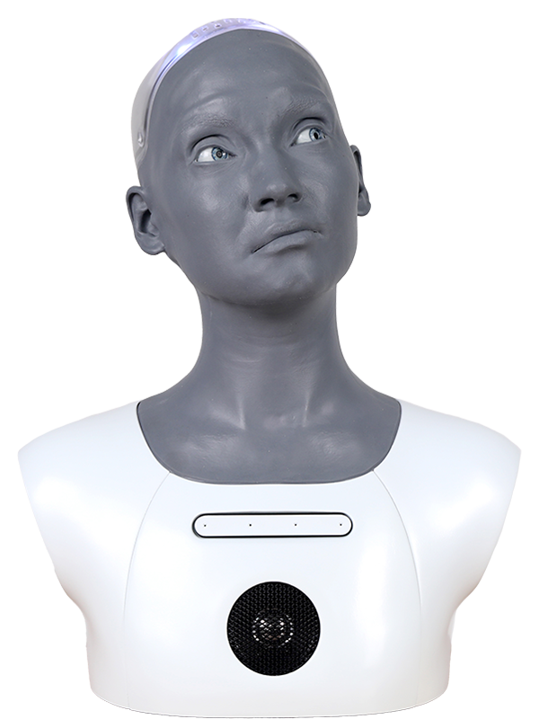 Engineered Arts Ami Desktop | Humanoid Robot