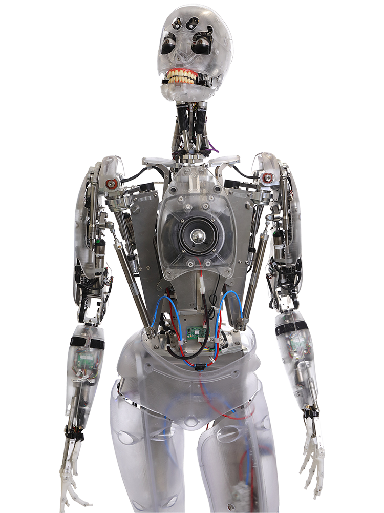 Engineered Arts Mesmer | Humanoid Robot