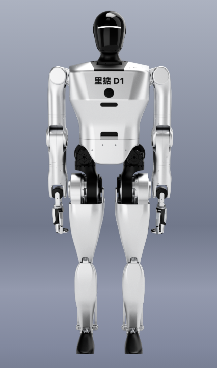 Li-Gong 里掂D1 | Humanoid Robot