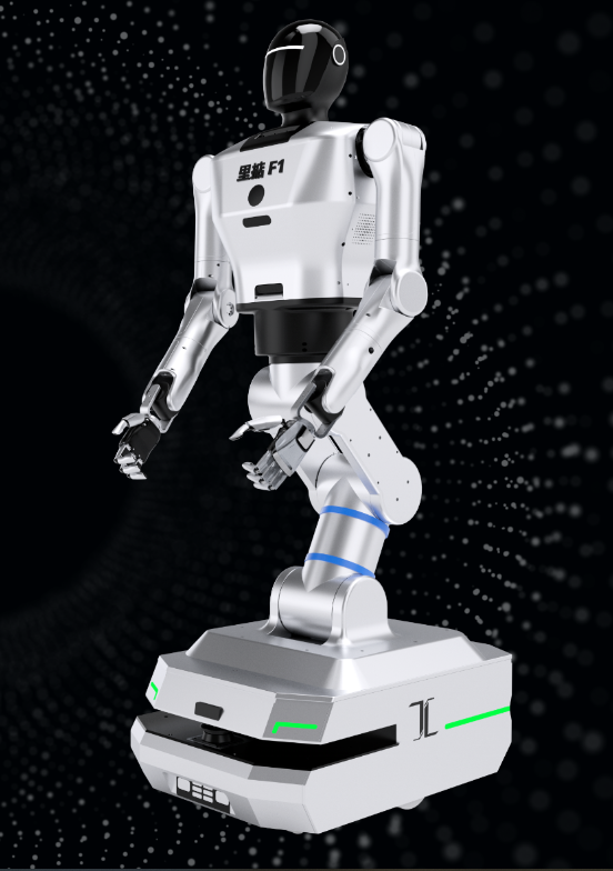 Li-Gong 里掂F1 | Humanoid Robot