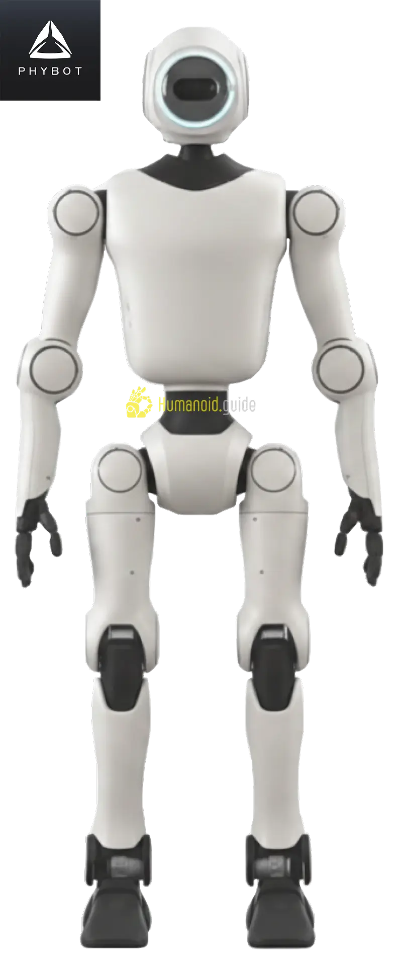 PHYBOT PHYBOT C1 | Humanoid Robot