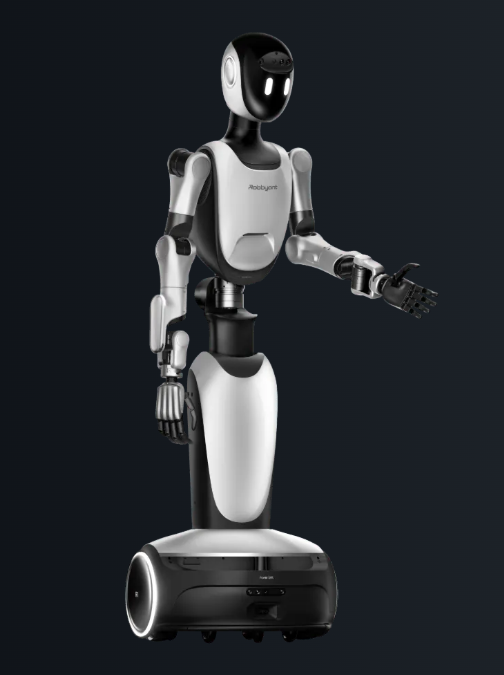 Robbyant 蚂蚁灵波R1 | Humanoid Robot