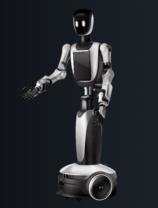 Robbyant 蚂蚁灵波 R1-S | Humanoid Robot