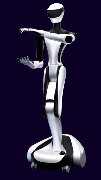 RobotEra 星动Q5 | Humanoid Robot