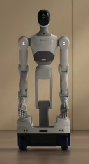 Simplexity Robotics TBD | Humanoid Robot