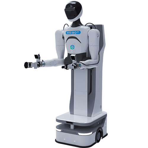 SXZLT Robotics 星际D | Humanoid Robot