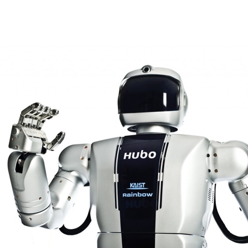 HUBO Hubo (KHR-2 based platform) | Humanoid Robot
