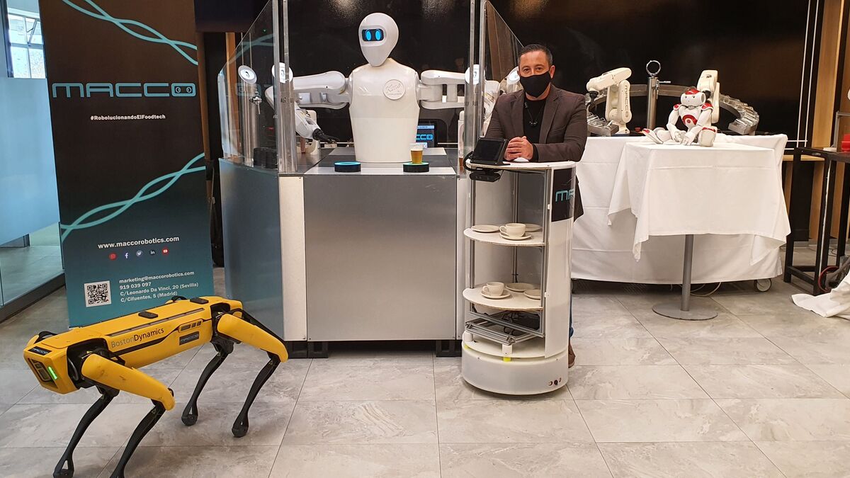Macco Robotics DBot | Humanoid Robot