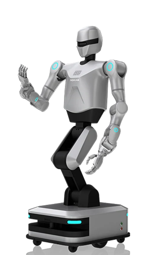 Rokae Helios | Humanoid Robot