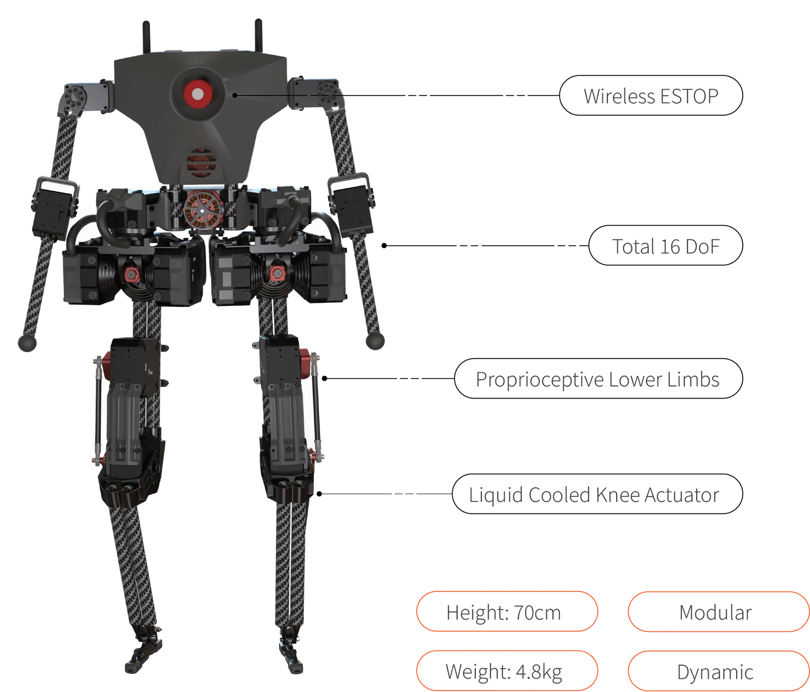 Westwood Robotics BRUCE | Humanoid Robot