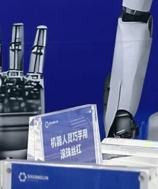 双林机器人灵巧手微型滚珠丝杠