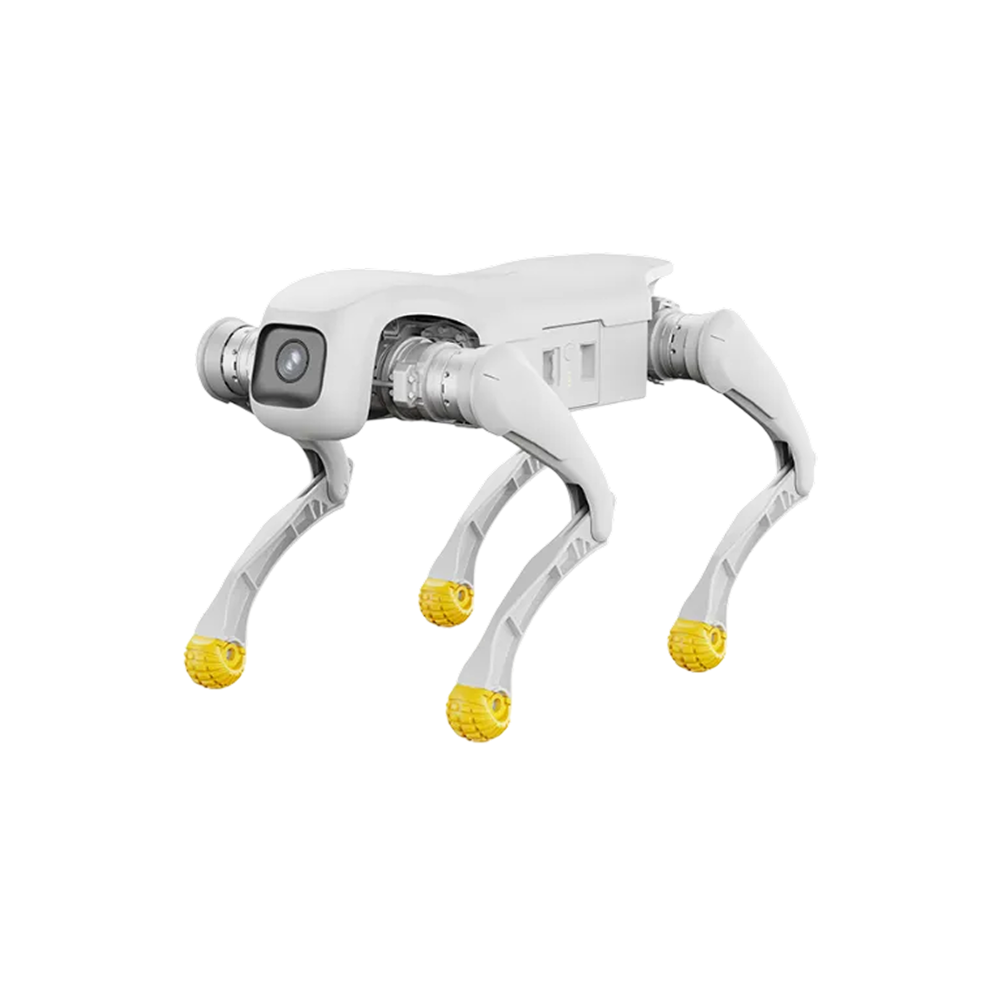 AGIBOT D1 Edu Quadruped Robot product view 2