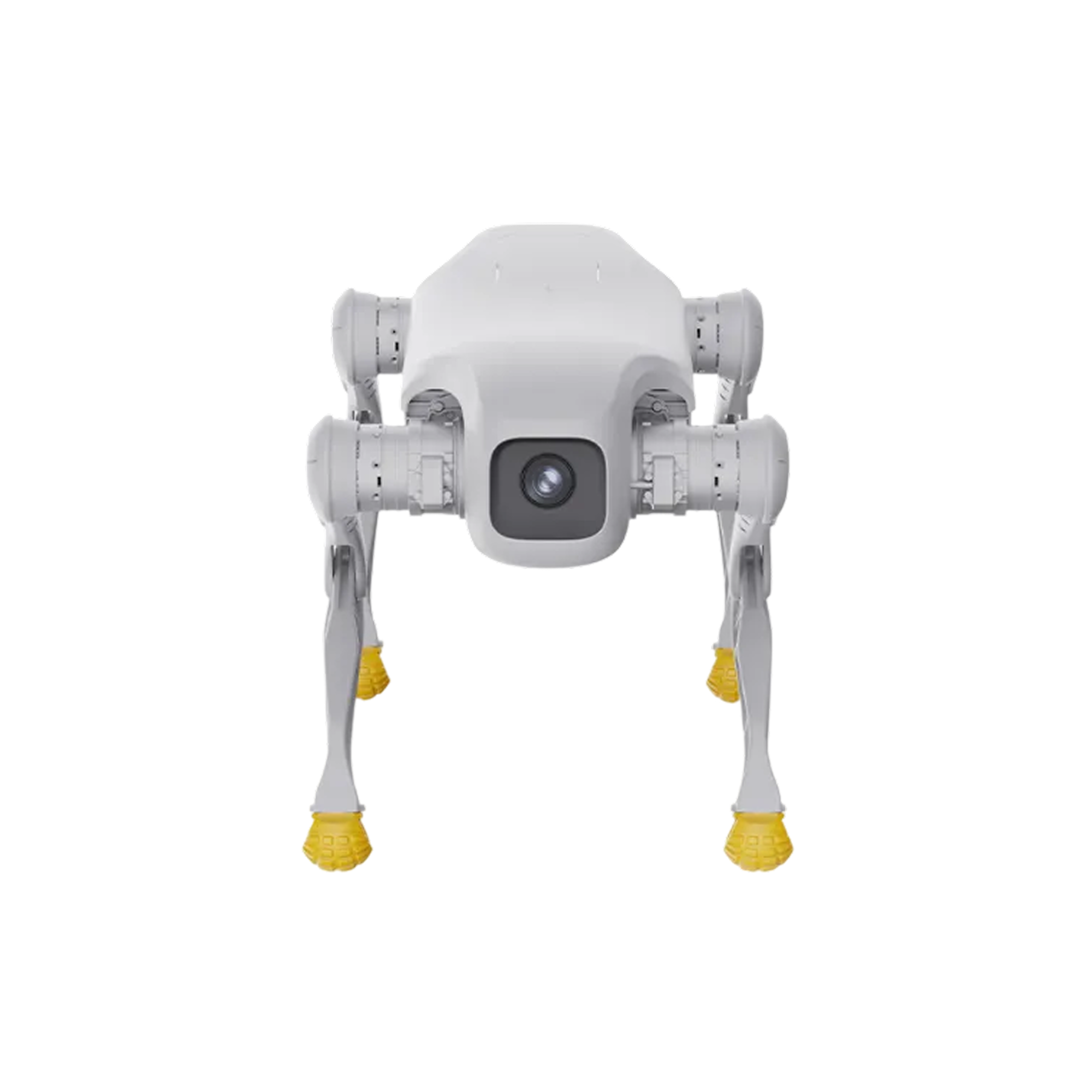AGIBOT D1 Edu Quadruped Robot product view 4