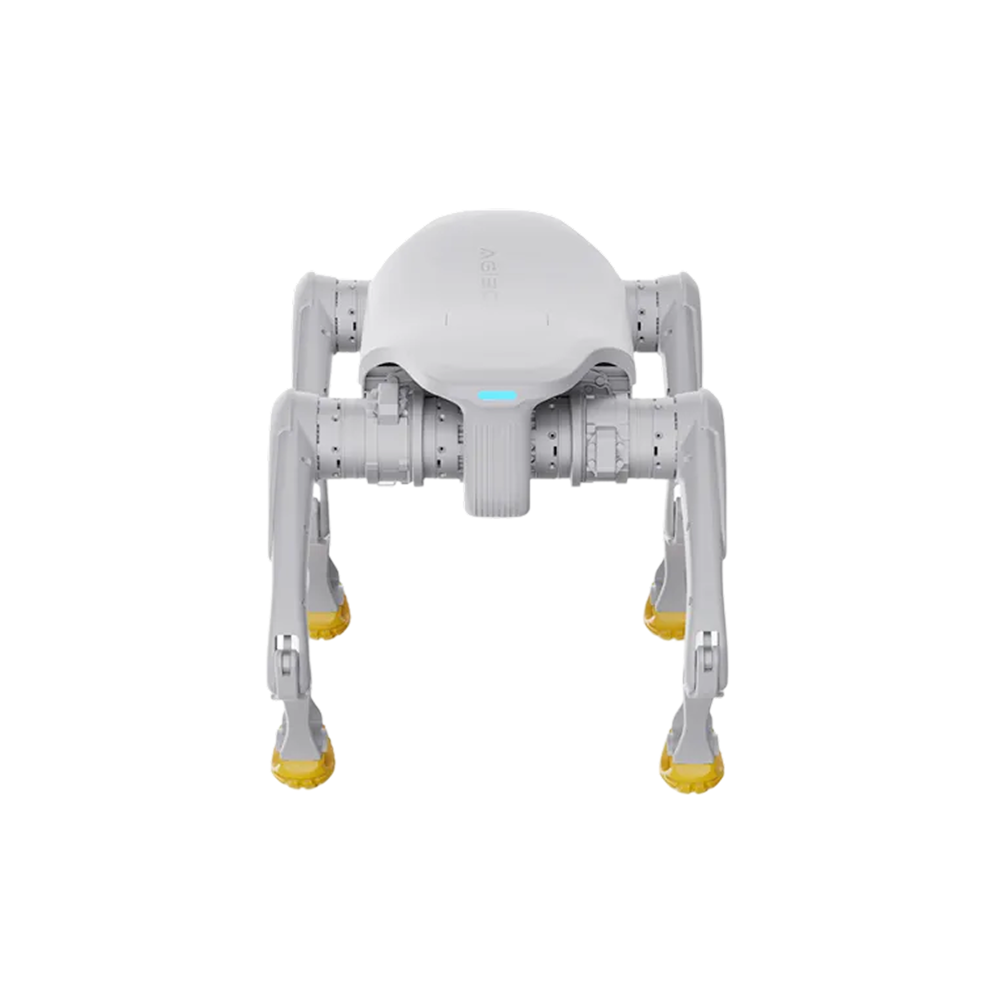 AGIBOT D1 Edu Quadruped Robot product view 5
