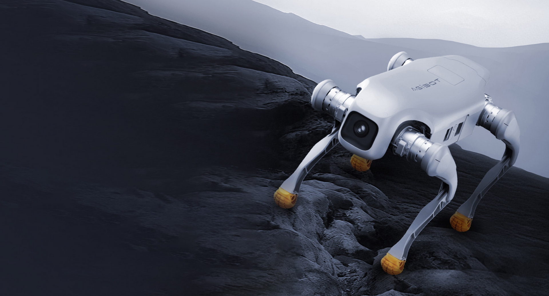 AGIBOT D1 Edu Quadruped Robot product view 6