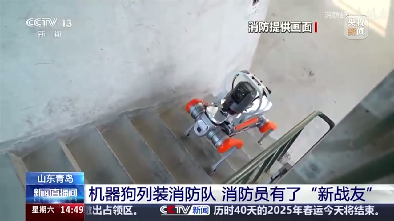 青岛消防正式配备四足机器人