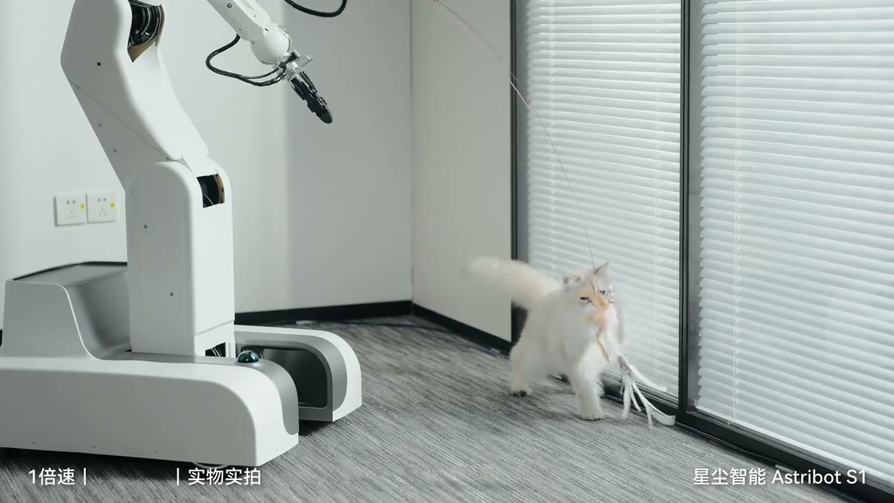 星尘智能 S1 逗猫与扫地协同作业