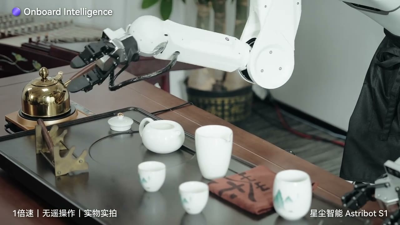 星尘智能 S1 茶艺展示