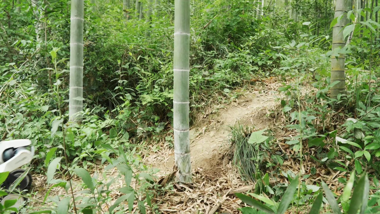 云深处四足机器人电力巡检