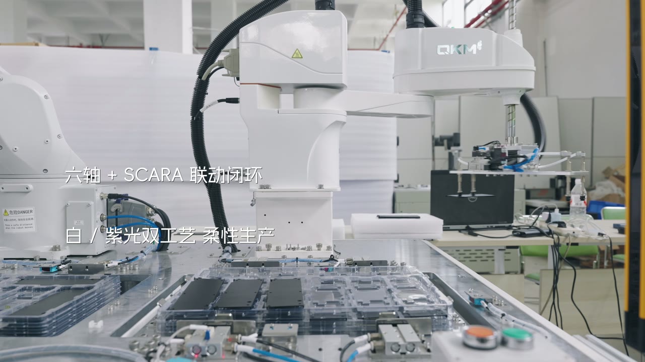 李群全自动打标协同工作站演示