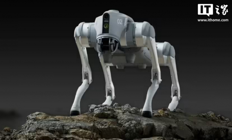 宇树四足机器人销量占全球出货量的 60%-70%(图1)