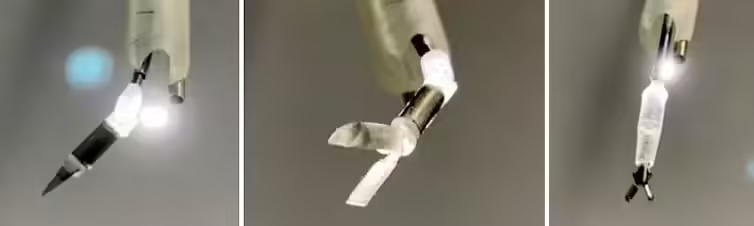 直径仅 3 毫米,微型磁控机器人可模拟外科医生灵巧动作(图1) 直径仅 3 毫米,微型磁控机器人可模拟外科医生灵巧动作(图1)