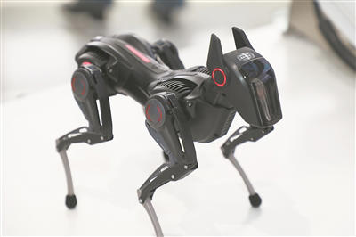 Sirius智能机器狗： 聪明贴心的AI“宠物”(图1)